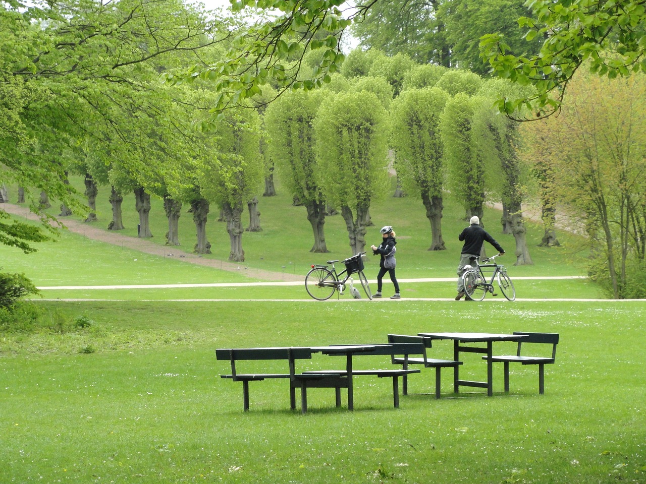 最新北京同志公園基地，城市綠肺與人們的新樂園