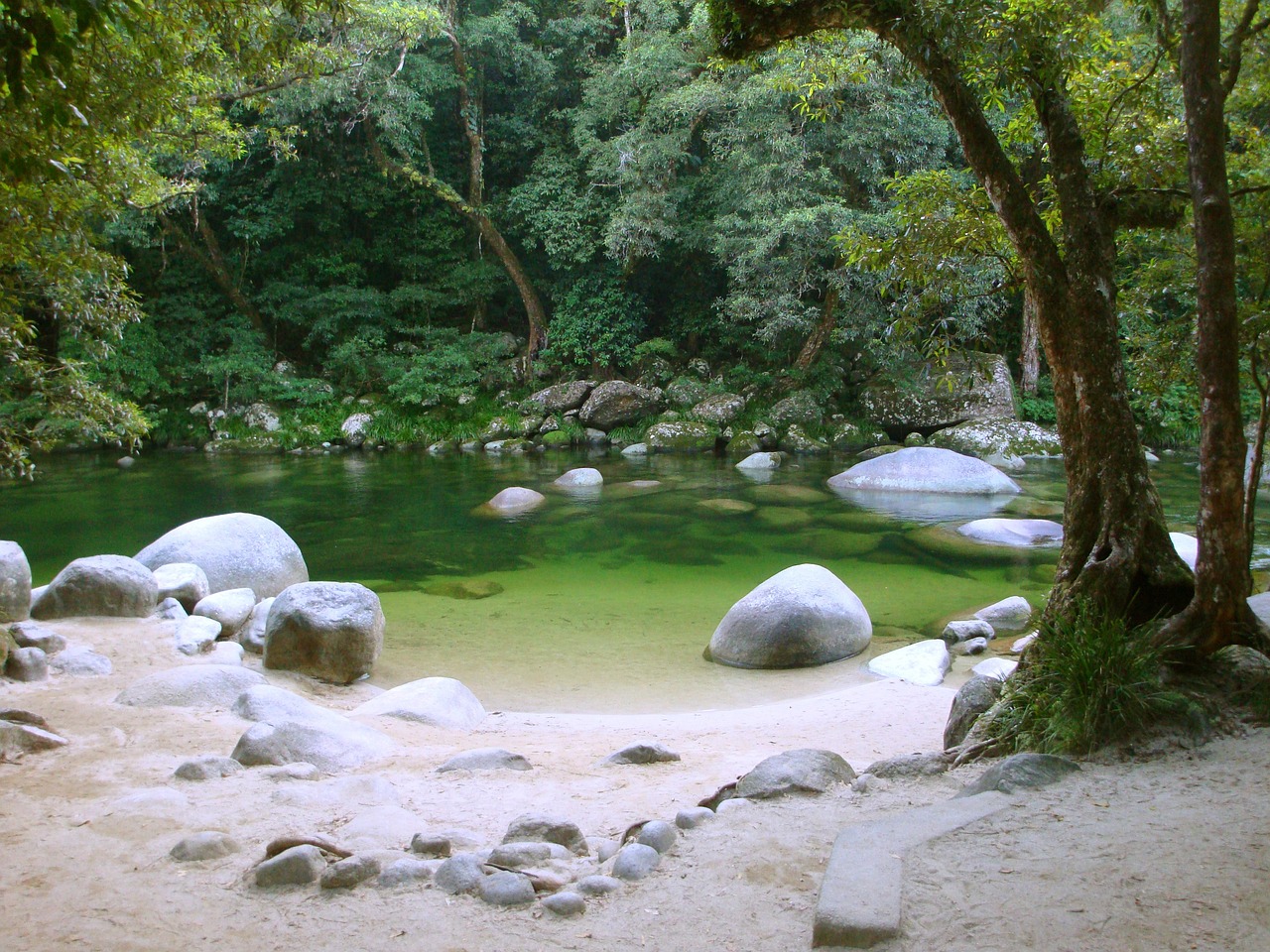 最新武平森林公園選址，生態(tài)與休閑的完美結(jié)合